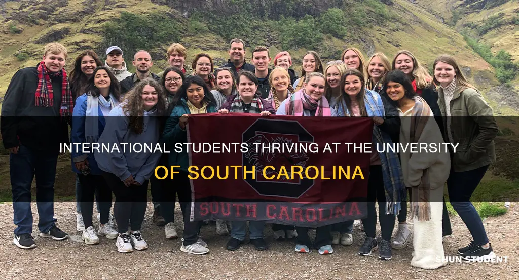 how many international students at university of south carolina