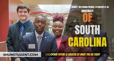 International Students Thriving at the University of South Carolina