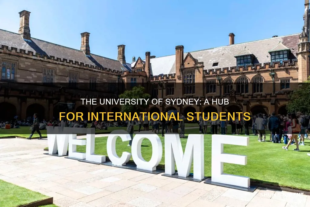 how many international students at university of sydney