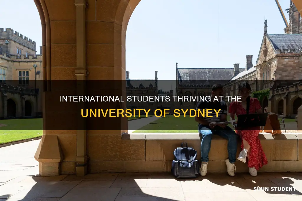 how many international students at university of sydney
