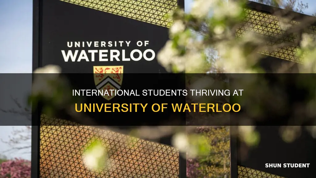 how many international students at university of waterloo