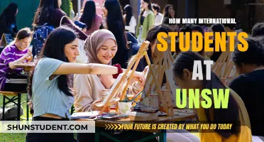 International Students Thriving at UNSW: How Many?