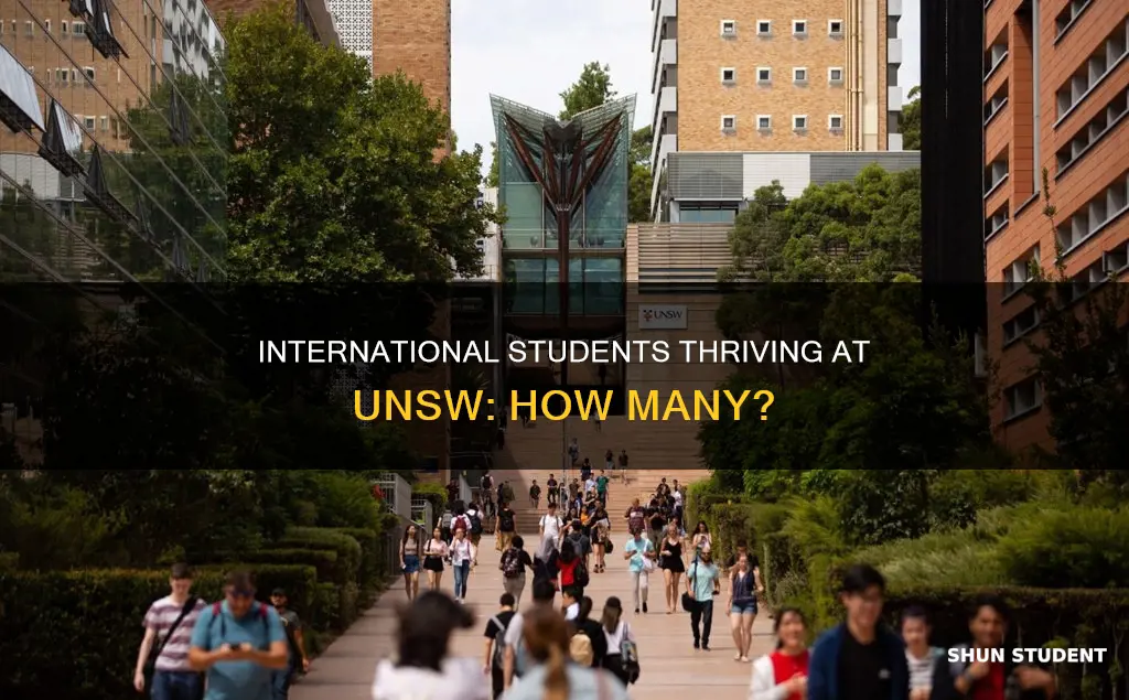 how many international students at unsw