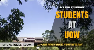 International Students Thriving at UOW