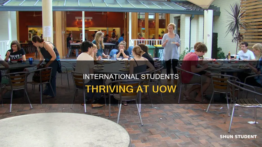 how many international students at uow