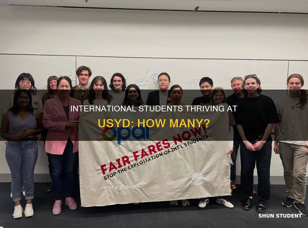 how many international students at usyd
