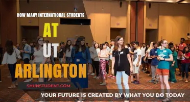 International Students Thriving at UT Arlington
