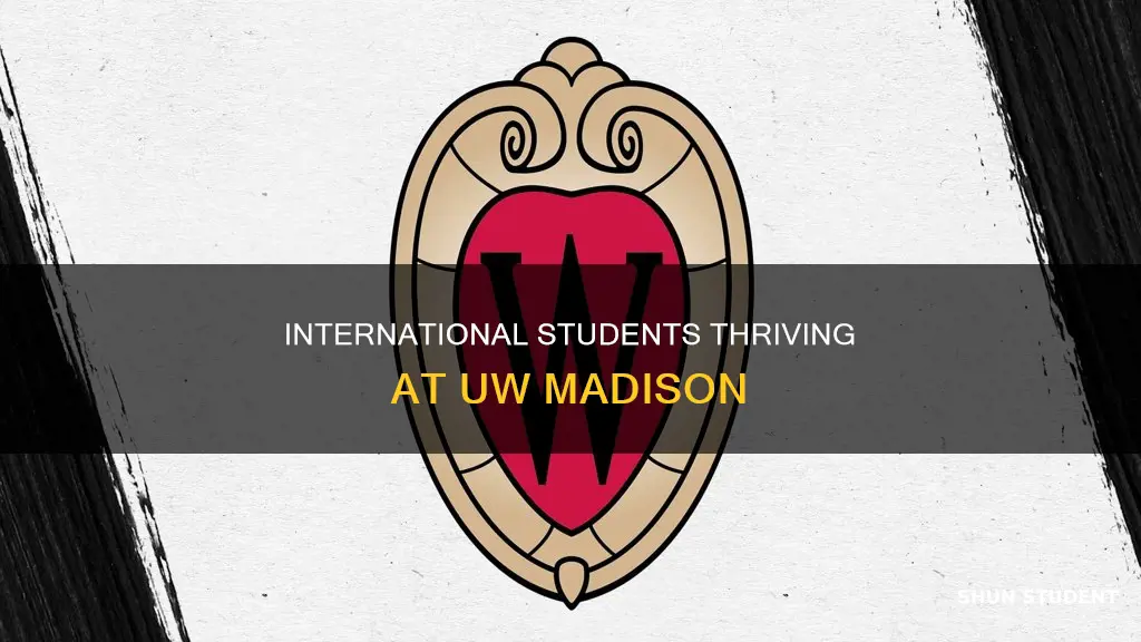 how many international students at uw madison