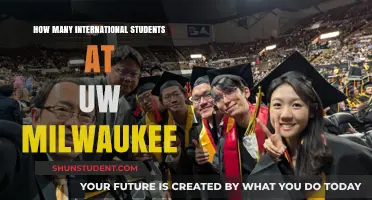 International Students Thriving at UW-Milwaukee: Numbers and Insights