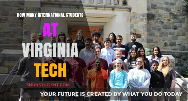 International Students Thriving at Virginia Tech