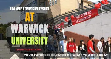 Warwick University: International Students Hub