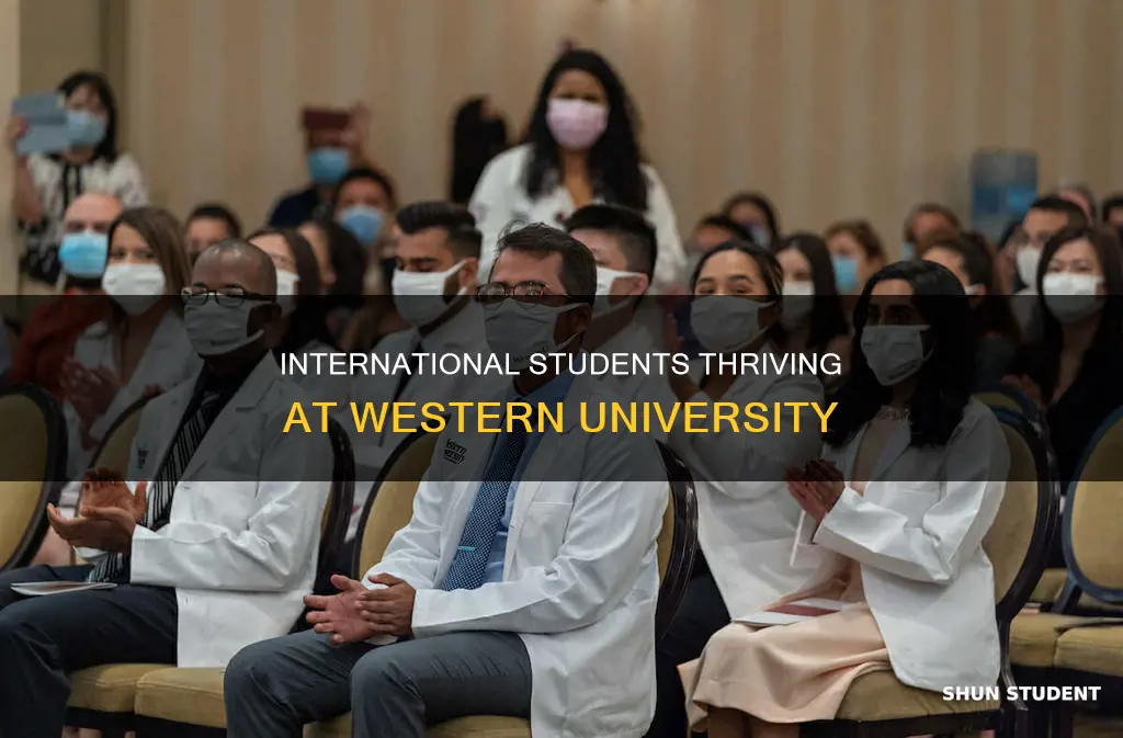 how many international students at western university