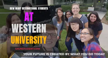 International Students Thriving at Western University