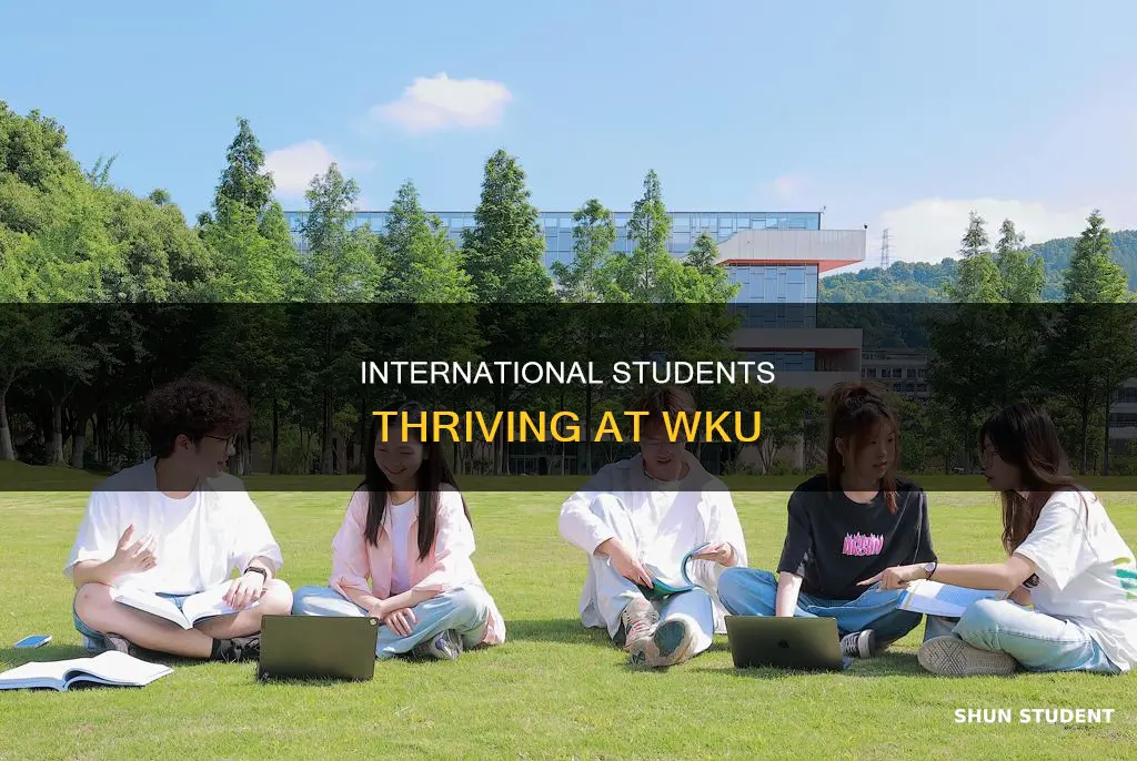 how many international students at wku