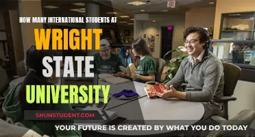 International Students Thriving at Wright State University