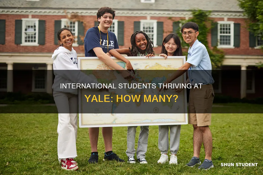 how many international students at yale