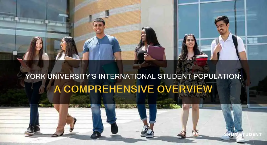 how many international students at york university