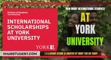 International Students Thriving at York University