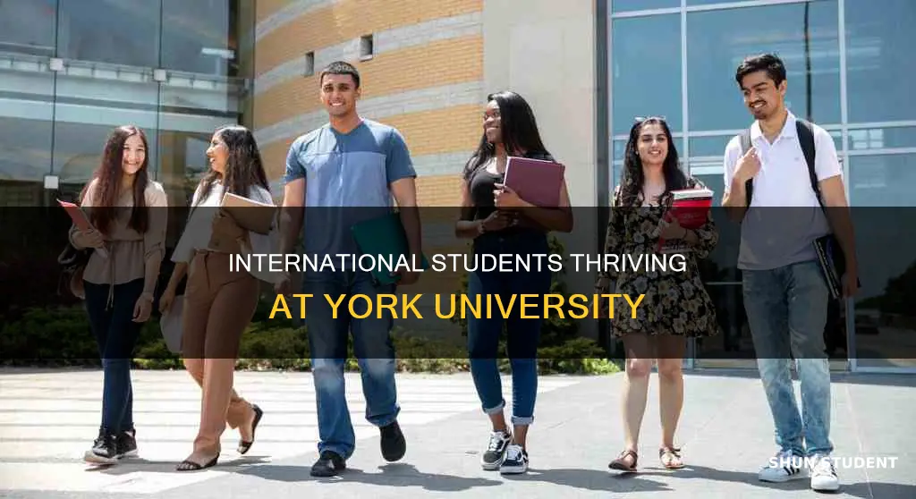 how many international students at york university