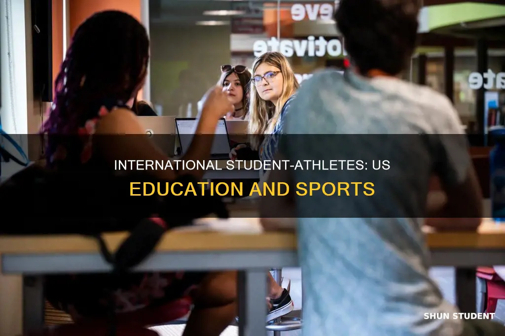 how many international students athlete in us