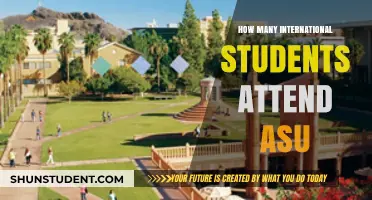 International Students Thriving at ASU