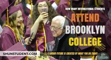 International Students at Brooklyn College: How Many?