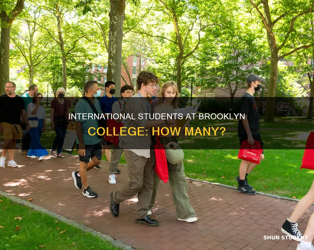 how many international students attend brooklyn college
