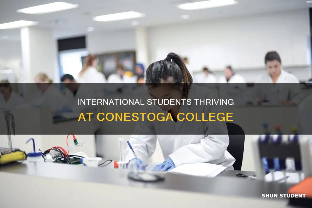 how many international students attend conestoga college