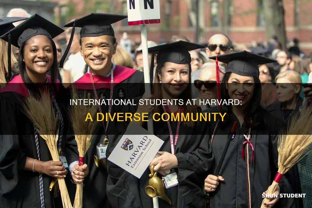 how many international students attend harvard university