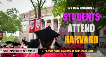 International Students at Harvard: A Diverse Community