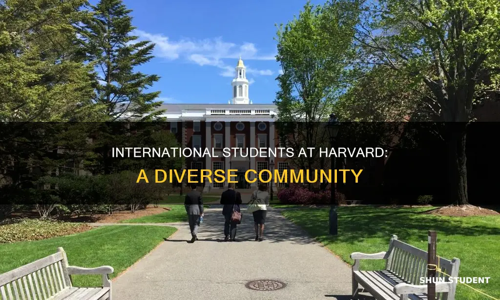 how many international students attend harvard