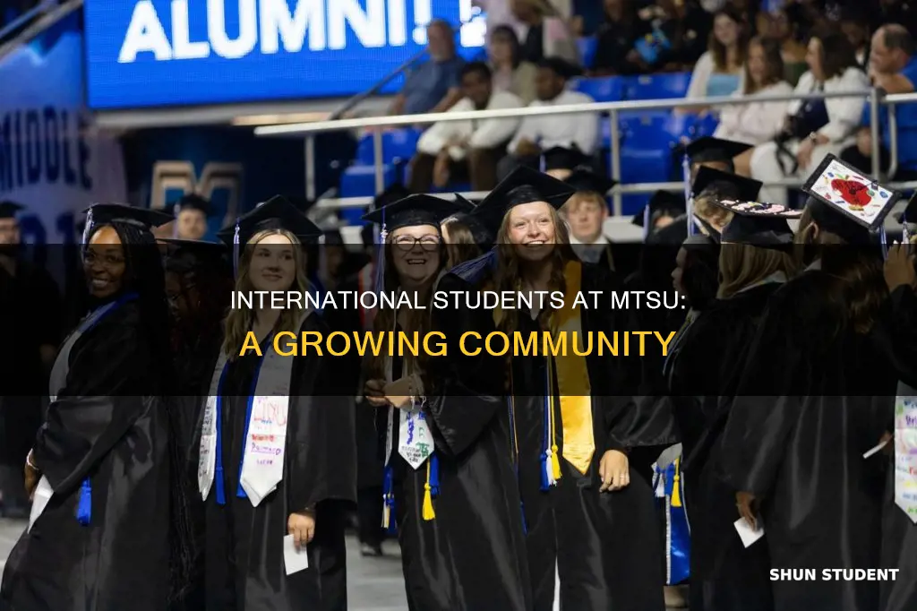 how many international students attend mtsu