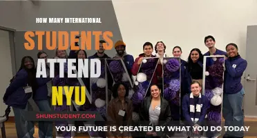International Students Thriving at NYU