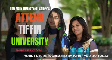 Tiffin University: International Students' Hub?