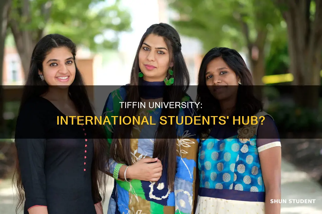 how many international students attend tiffin university