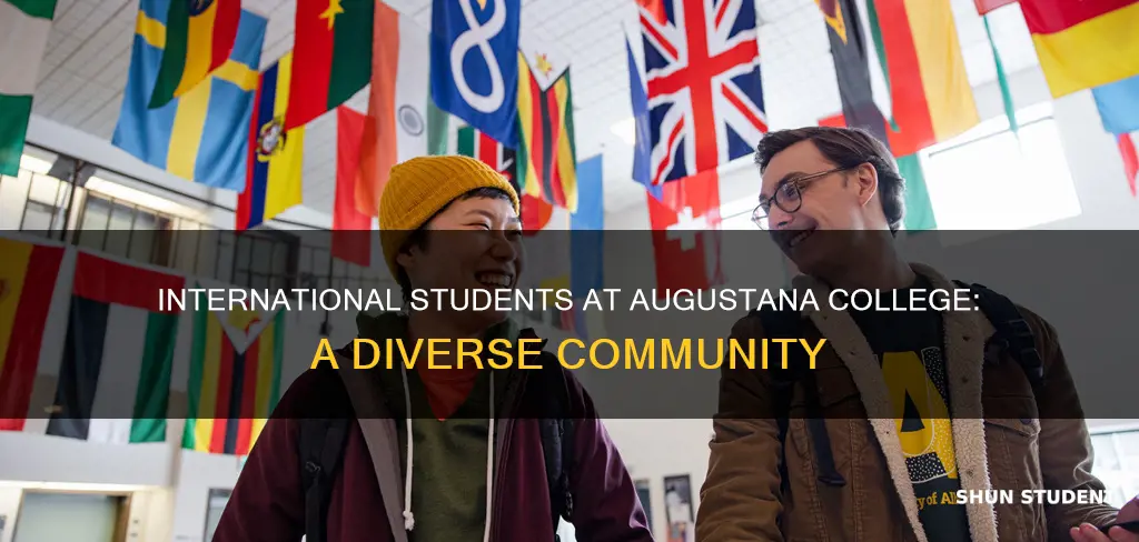 how many international students augustana college