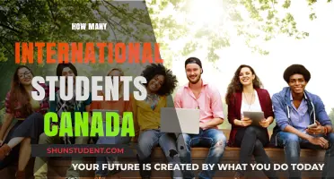 International Students in Canada: A Growing Community