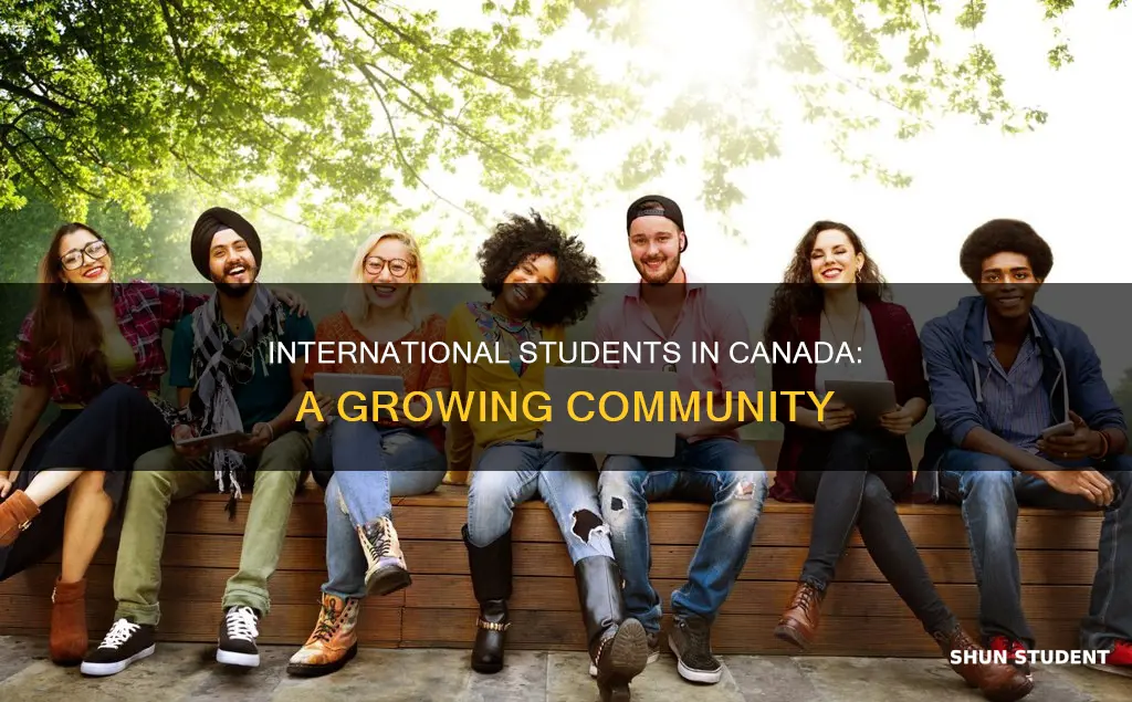 how many international students canada