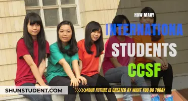International Students Thriving at CCSF
