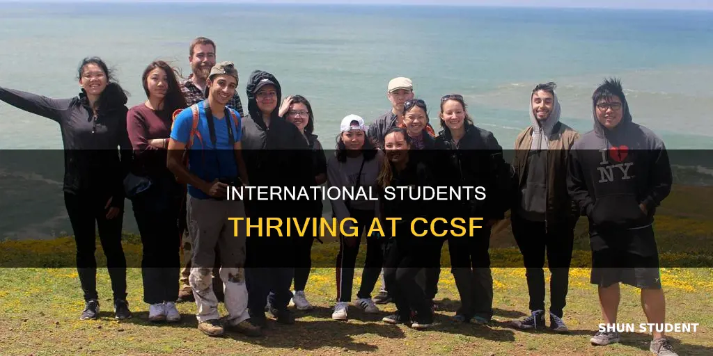 how many international students ccsf