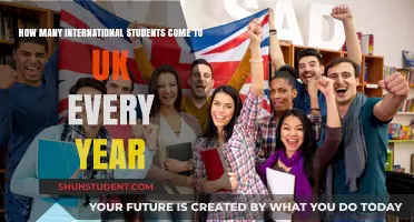 International Students in the UK: A Growing Trend