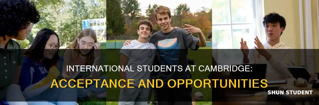 how many international students does cambridge accept