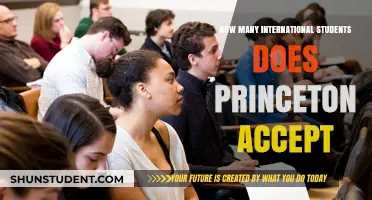 International Students at Princeton: Acceptance and Opportunities