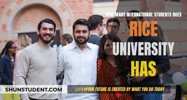 International Students at Rice University: A Diverse Community