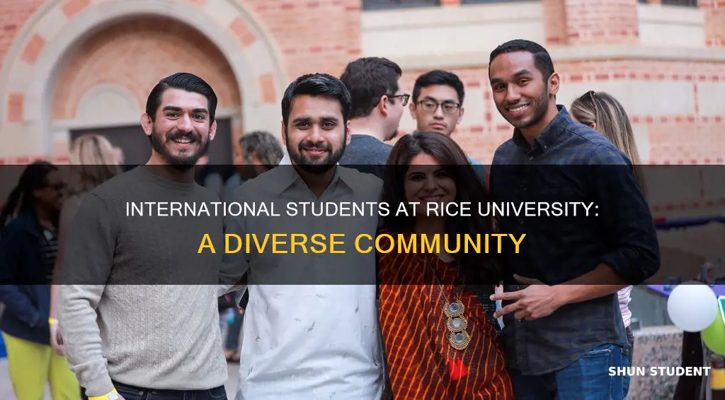 how many international students does rice university has