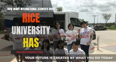 International Students at Rice University: How Many?