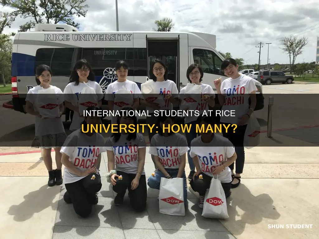 how many international students does rice university has