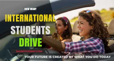 International Students and Their Driving Habits