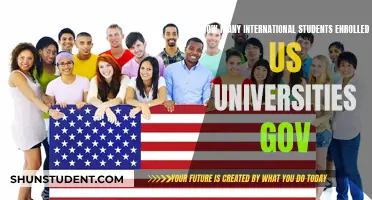International Students in US Universities: Enrollment Figures