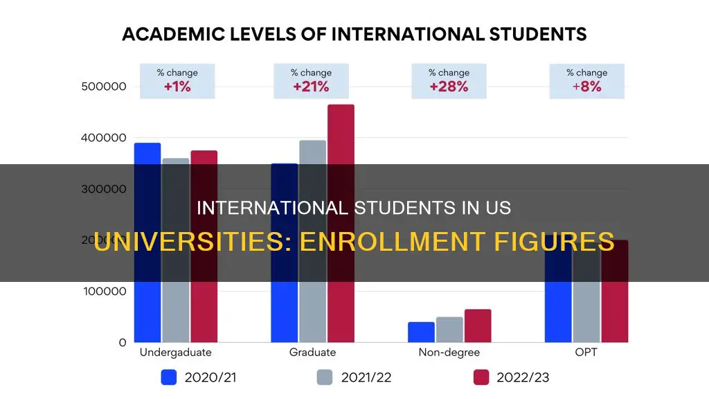 how many international students enrolled us universities gov